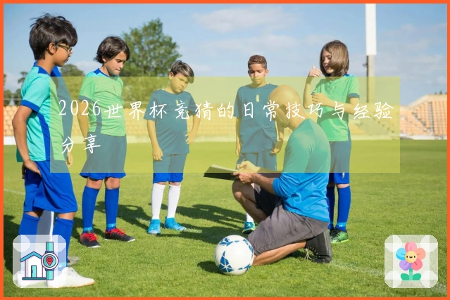 2026世界杯竞猜的日常技巧与经验分享