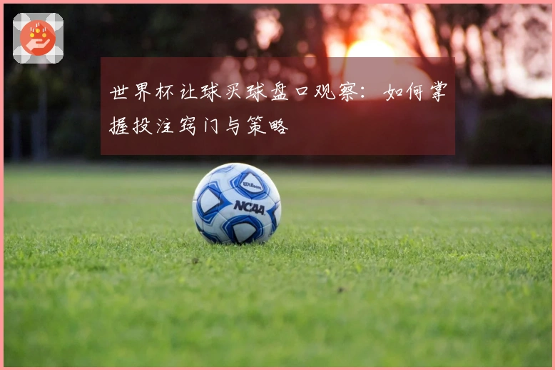 世界杯让球买球盘口观察：如何掌握投注窍门与策略
