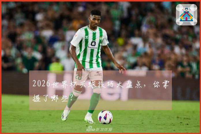 2026世界杯买球技巧大盘点，你掌握了哪些？