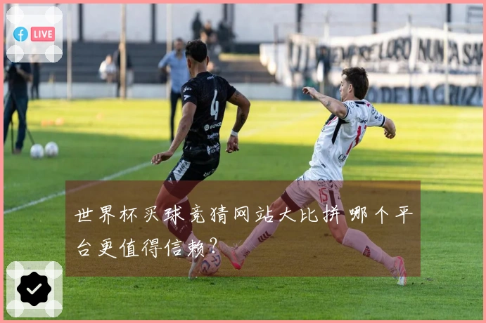 世界杯买球竞猜网站大比拼 哪个平台更值得信赖？