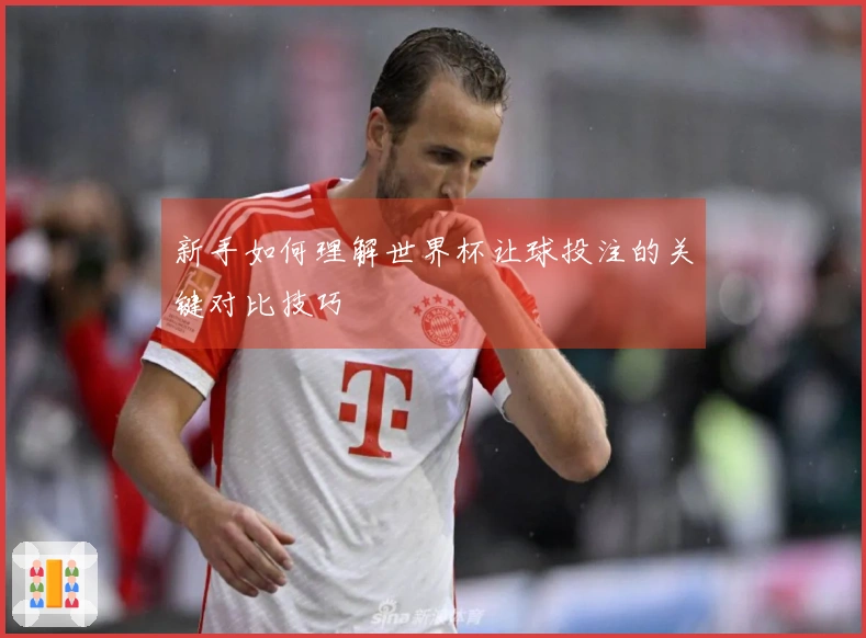 新手如何理解世界杯让球投注的关键对比技巧