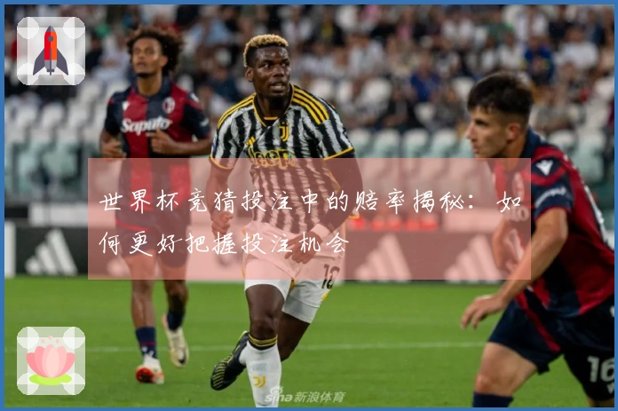 世界杯竞猜投注中的赔率揭秘：如何更好把握投注机会