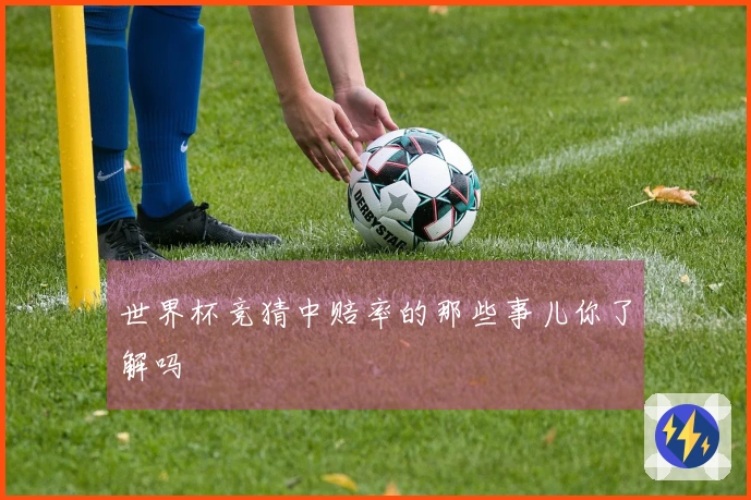 世界杯竞猜中赔率的那些事儿你了解吗