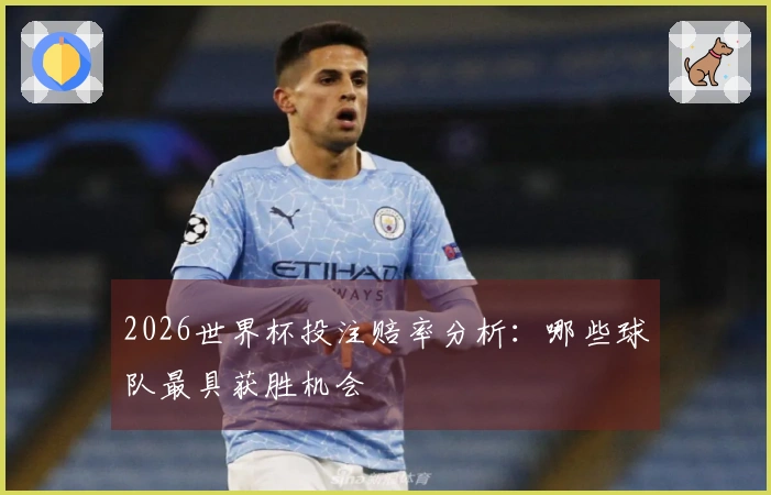 2026世界杯投注赔率分析：哪些球队最具获胜机会