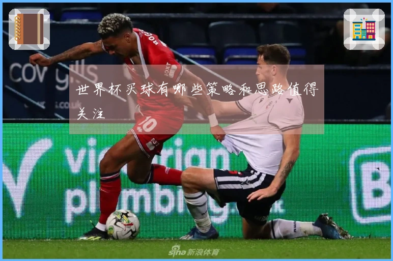 世界杯买球有哪些策略和思路值得关注