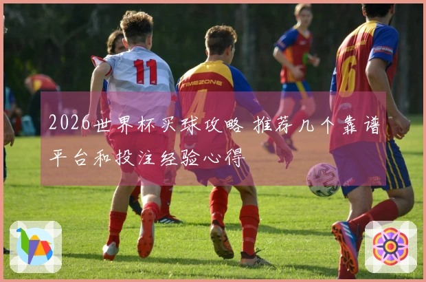 2026世界杯买球攻略 推荐几个靠谱平台和投注经验心得