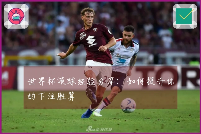世界杯滚球经验分享：如何提升你的下注胜算