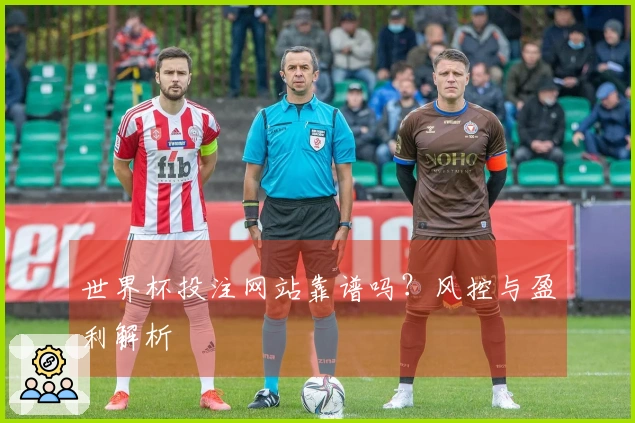 世界杯投注网站靠谱吗？风控与盈利解析