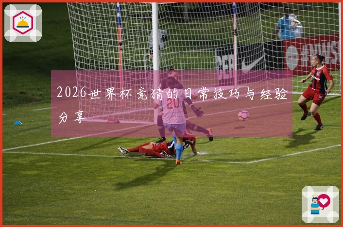 2026世界杯竞猜的日常技巧与经验分享