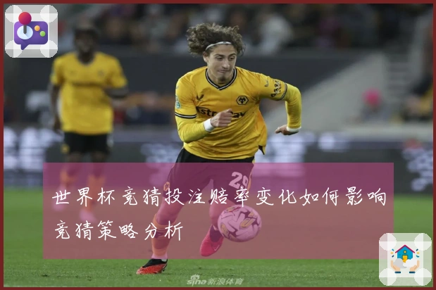 世界杯竞猜投注赔率变化如何影响竞猜策略分析