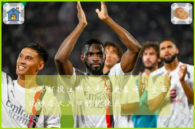 世界杯投注哪个平台更靠谱？全面比较各大入口的优缺点
