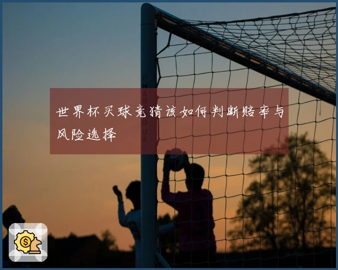 世界杯买球竞猜该如何判断赔率与风险选择