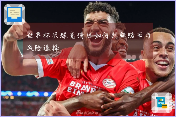世界杯买球竞猜该如何判断赔率与风险选择